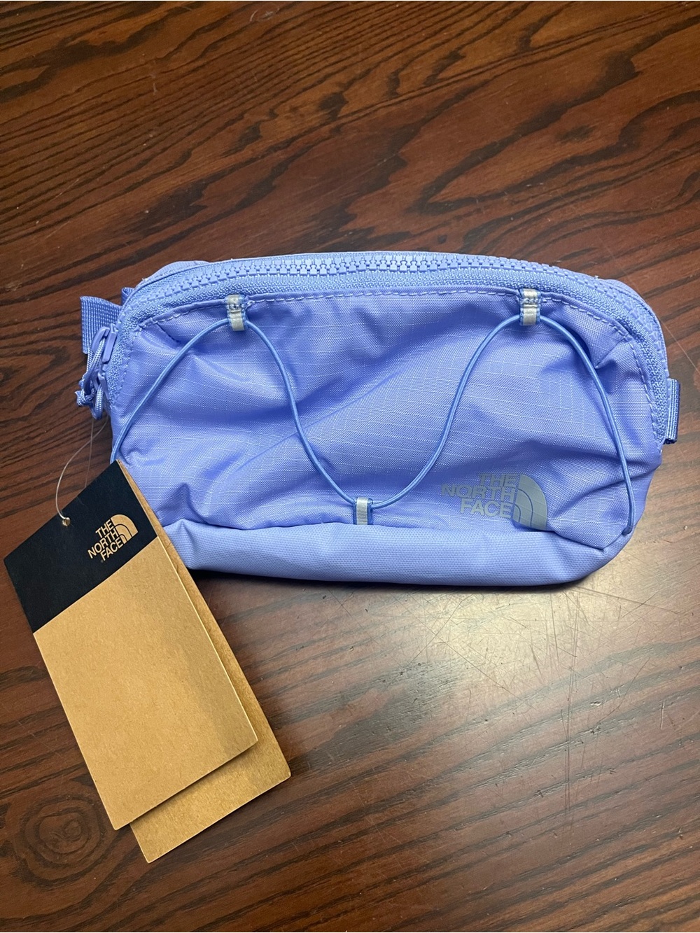 NWT The North Face Hip Pack